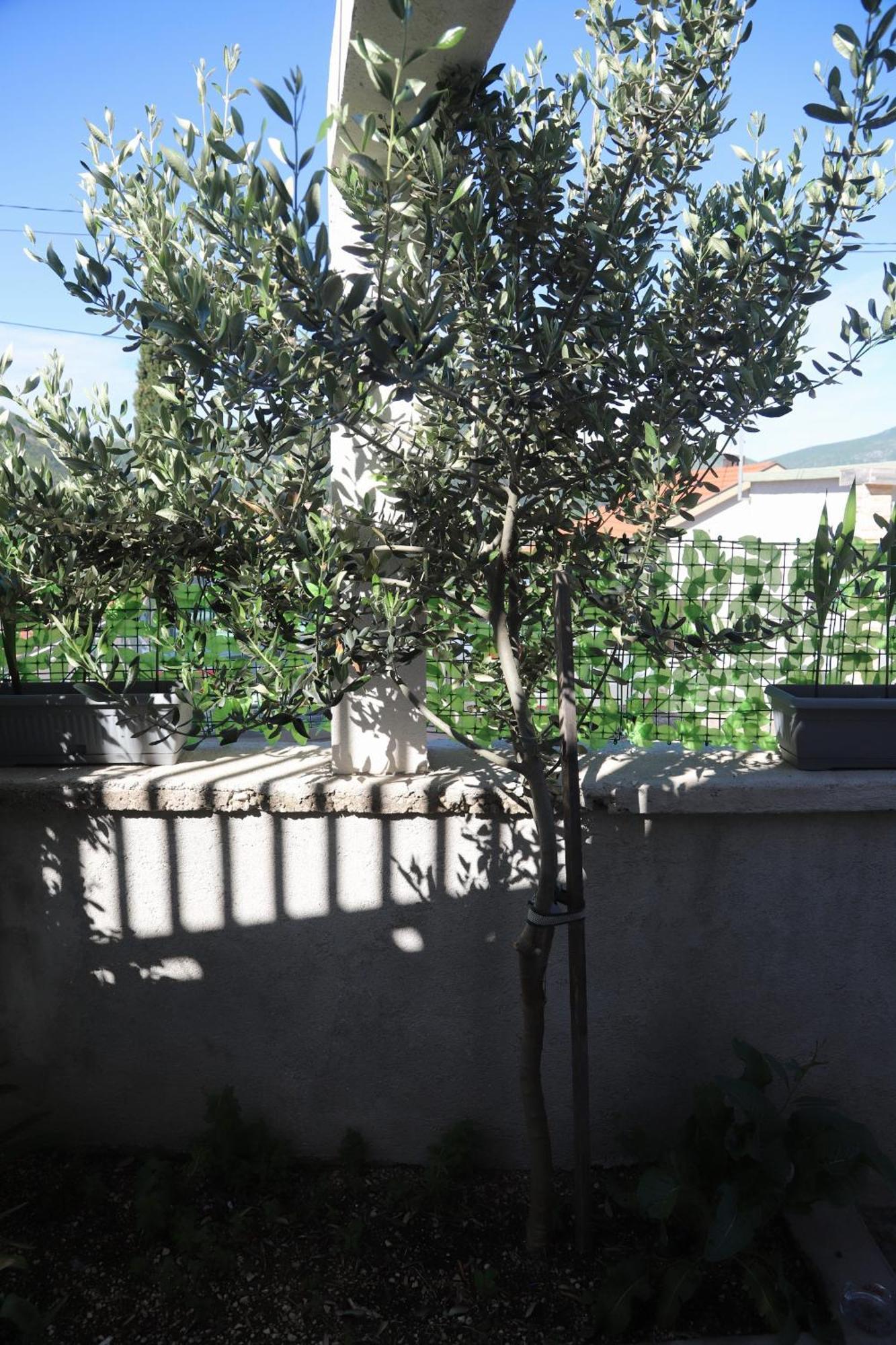 Apartman Hadze Mostar Eksteriør billede